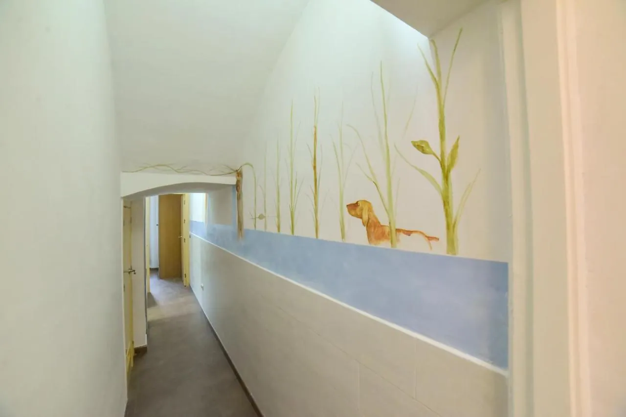 Quiet Typical Patio & Terrace Apartment Seville Spain