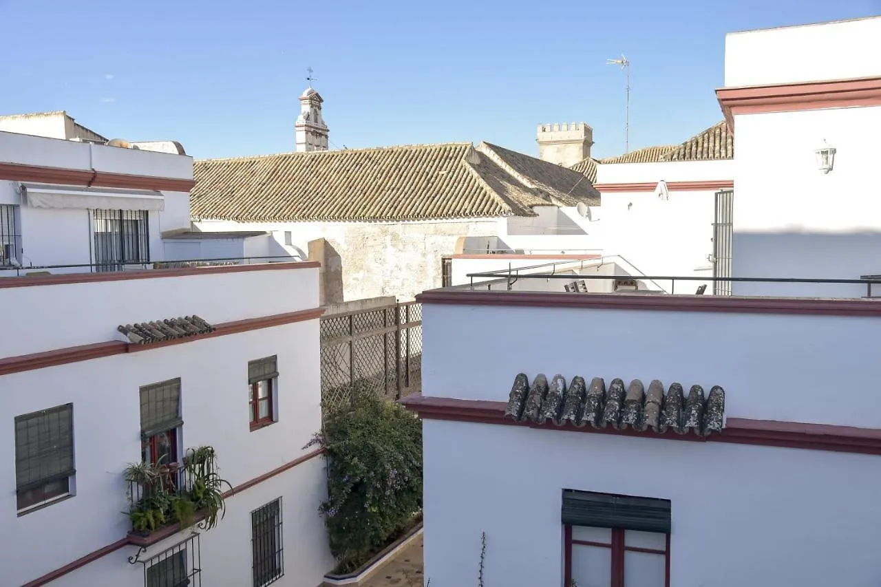 Quiet Typical Patio & Terrace Apartment Seville
