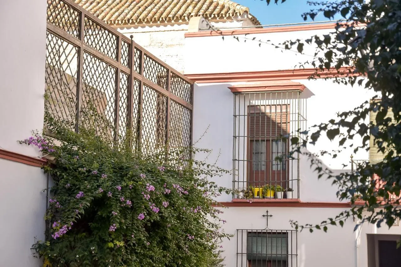 Quiet Typical Patio & Terrace Apartment Seville